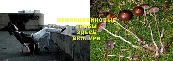дурь Баксан
