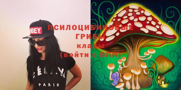 альфа пвп Саяногорск